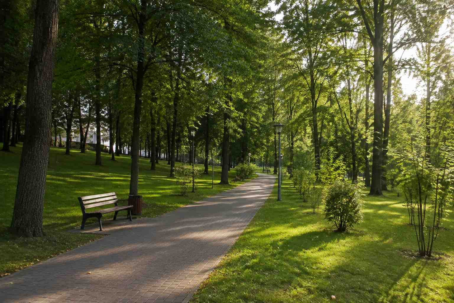 https://kopejsk.blago-s.ru/storage/app/uploads/public/6a7/eef/ed2/6a7eefed2af22038960370.jpg